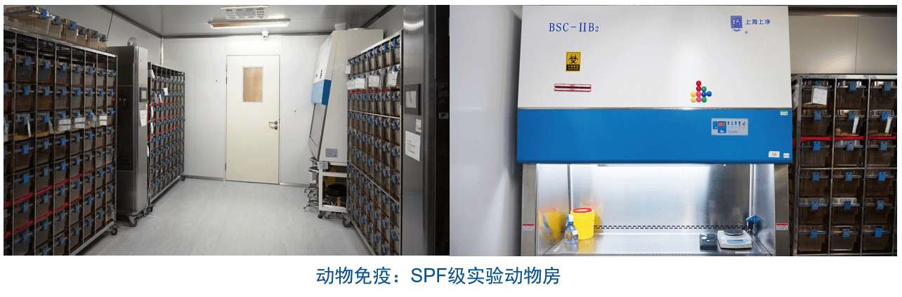 人生就是博杂交瘤技术平台设备-动物免疫SPF级实验动物房